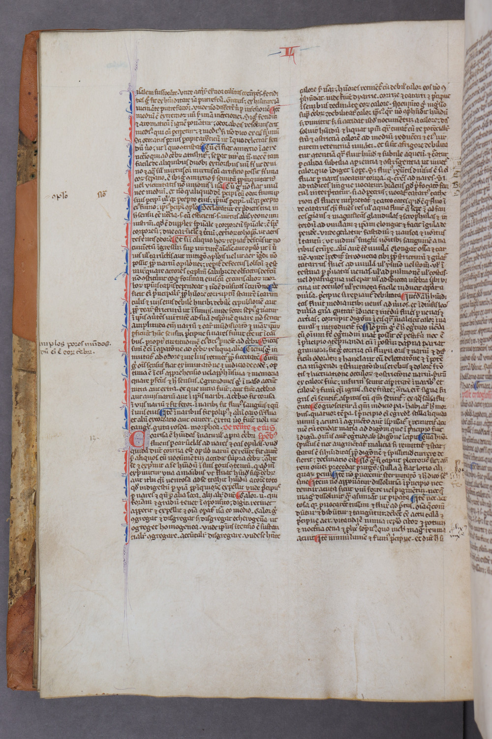 Folio 69 verso